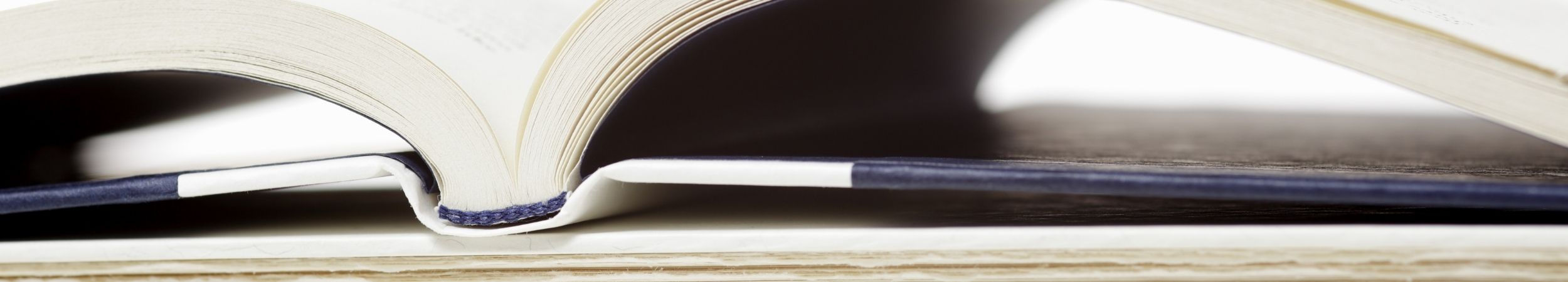 étude bibliographique