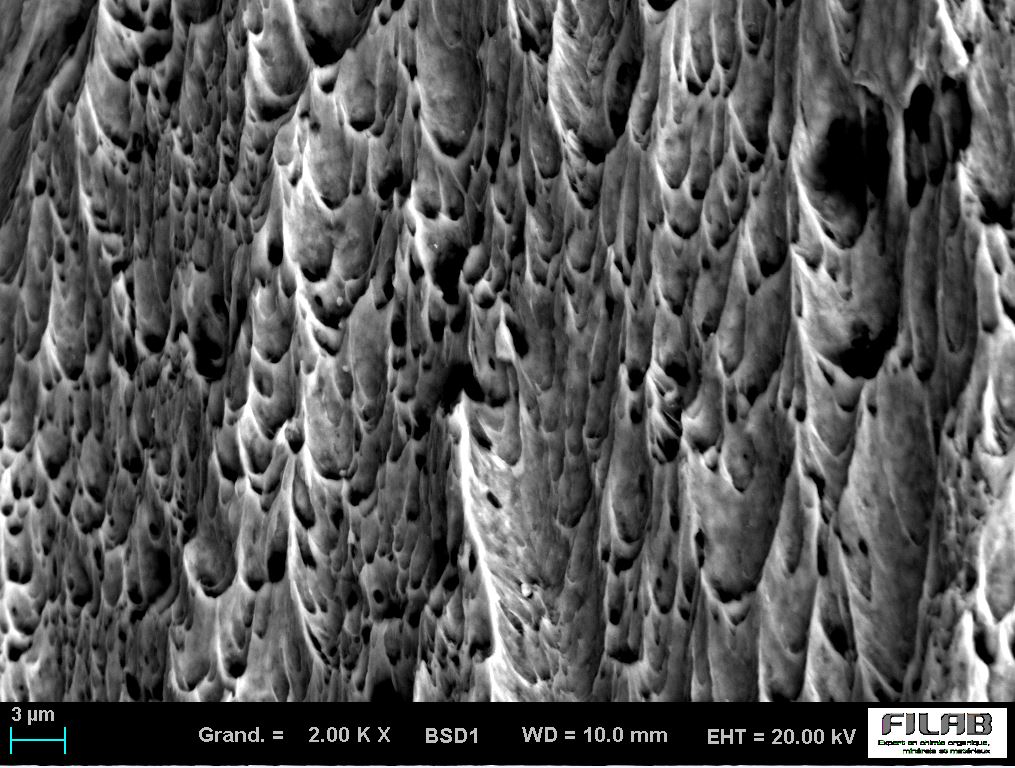 rupture ductile MEB
