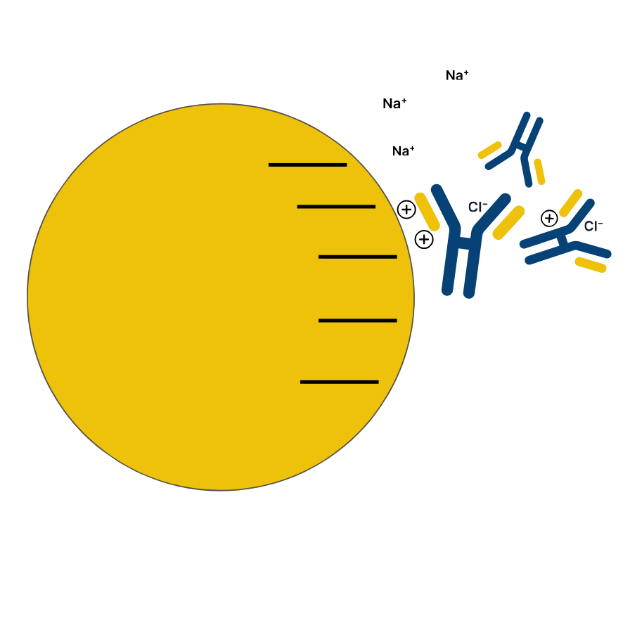 Schema-IEX-1024-x-1024-px-2.png